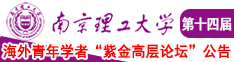 日农村的骚B南京理工大学第十四届海外青年学者紫金论坛诚邀海内外英才！